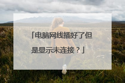 电脑网线插好了但是显示未连接？