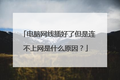电脑网线插好了但是连不上网是什么原因？
