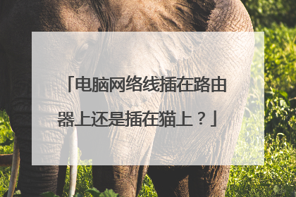 电脑网络线插在路由器上还是插在猫上?
