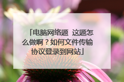 电脑网络题 这题怎么做啊?如何文件传输协议登录到网站