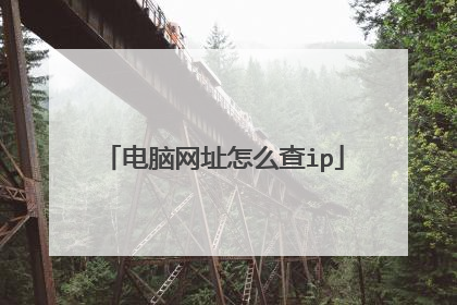 电脑网址怎么查ip