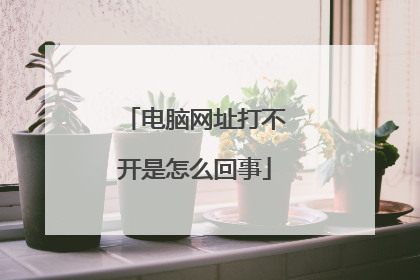 电脑网址打不开是怎么回事