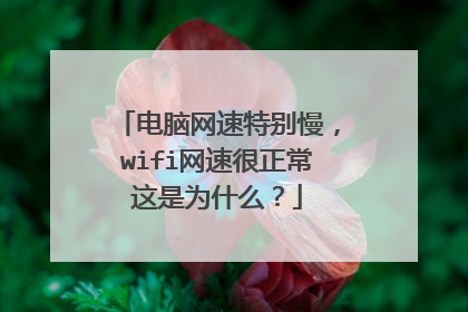 电脑网速特别慢，wifi网速很正常这是为什么？