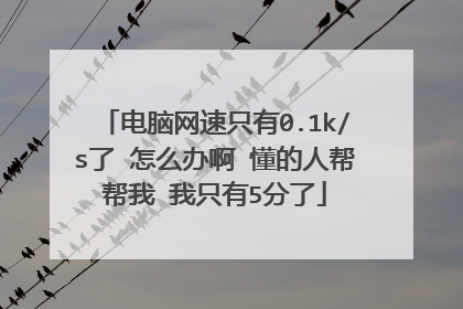 电脑网速只有0.1k/s了 怎么办啊 懂的人帮帮我 我只有5分了