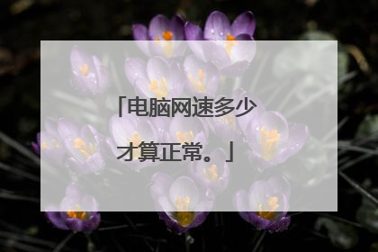 电脑网速多少才算正常。