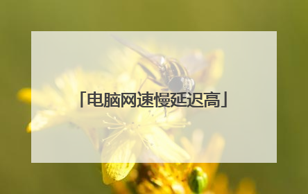 电脑网速慢延迟高