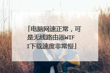 电脑网速正常,可是无线路由器WIFI下载速度非常慢