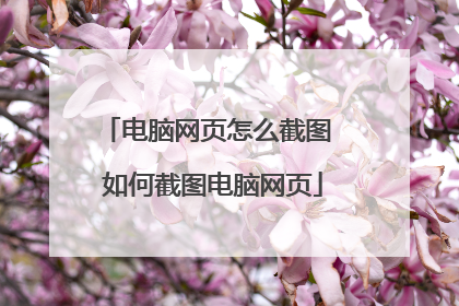 电脑网页怎么截图 如何截图电脑网页