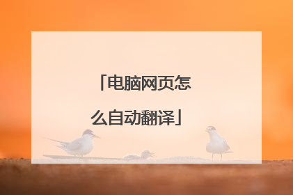 电脑网页怎么自动翻译