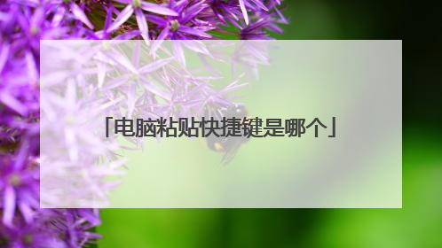 电脑粘贴快捷键是哪个