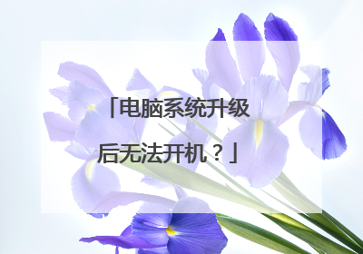 电脑系统升级后无法开机?