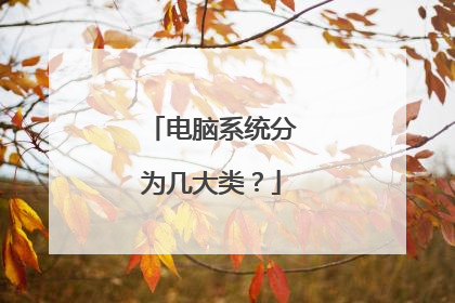 电脑系统分为几大类？