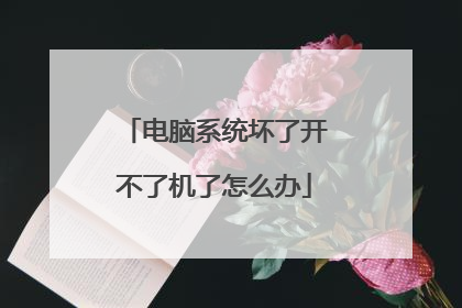 电脑系统坏了开不了机了怎么办