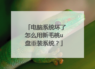 电脑系统坏了怎么用新毛桃u盘重装系统?