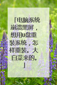 电脑系统崩溃黑屏,想用U盘重装系统,怎样重装。大白菜来的。