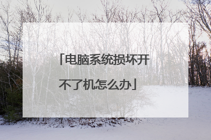 电脑系统损坏开不了机怎么办