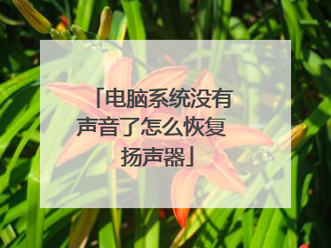 电脑系统没有声音了怎么恢复 扬声器