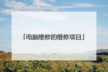 电脑维修的维修项目