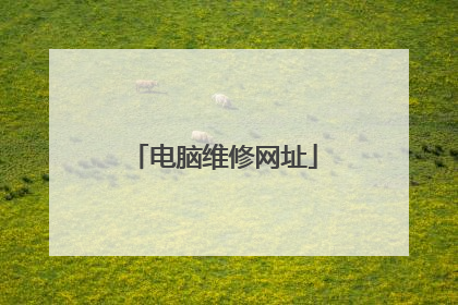 电脑维修网址