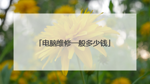 电脑维修一般多少钱