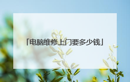 电脑维修上门要多少钱