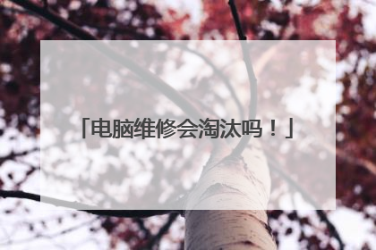电脑维修会淘汰吗!