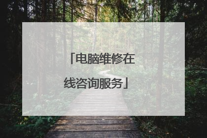电脑维修在线咨询服务