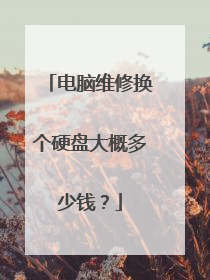 电脑维修换个硬盘大概多少钱?