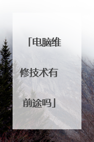 电脑维修技术有前途吗