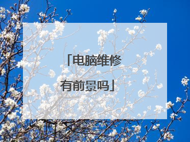 电脑维修有前景吗