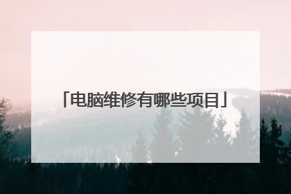 电脑维修有哪些项目