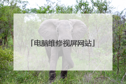 电脑维修视屏网站