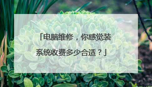 电脑维修,你感觉装系统收费多少合适?