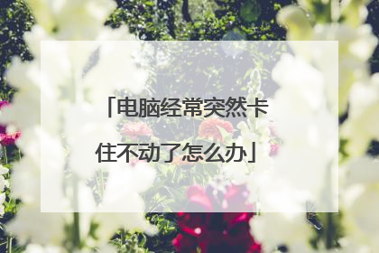 电脑经常突然卡住不动了怎么办