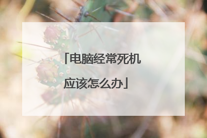 电脑经常死机应该怎么办