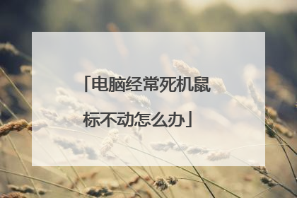 电脑经常死机鼠标不动怎么办