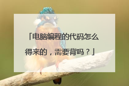 电脑编程的代码怎么得来的,需要背吗?