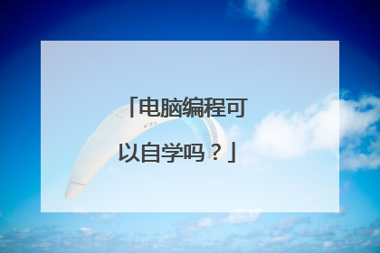 电脑编程可以自学吗?