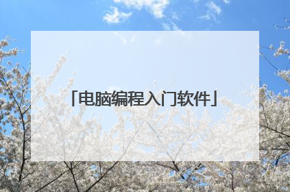 电脑编程入门软件