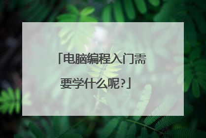 电脑编程入门需要学什么呢?