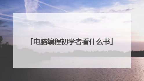 电脑编程初学者看什么书