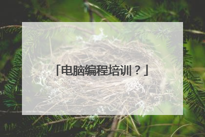 电脑编程培训?