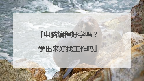 电脑编程好学吗? 学出来好找工作吗