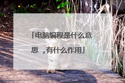 电脑编程是什么意思 ,有什么作用