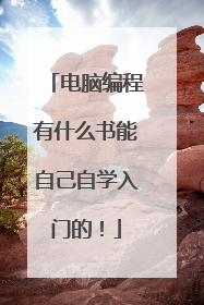 电脑编程有什么书能自己自学入门的!