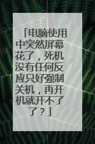 电脑使用中突然屏幕花了,死机没有任何反应只好强制关机,再开机就开不了了?