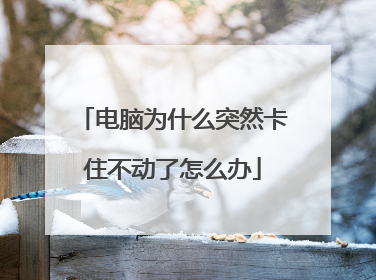 电脑为什么突然卡住不动了怎么办