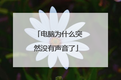 电脑为什么突然没有声音了