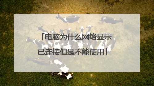电脑为什么网络显示已连接但是不能使用