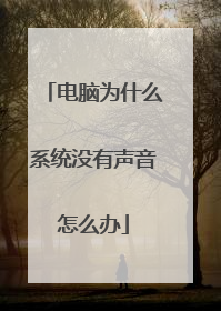 电脑为什么系统没有声音怎么办